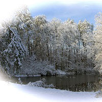 Snow at Pond edited