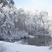 Snow at Pond unedited